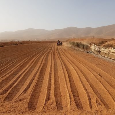 Periodista AgroAlimentario.
Visibilizar el valor agroalimentario, paisajistico, turístico, gastronómico y  socioeconomico del Producto Local. Hay Futuro.