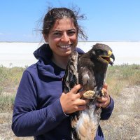 Cansu Özcan (@kzlgrdn) 's Twitter Profile Photo