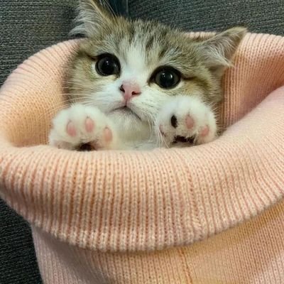 KaatherB's profile picture. vaan