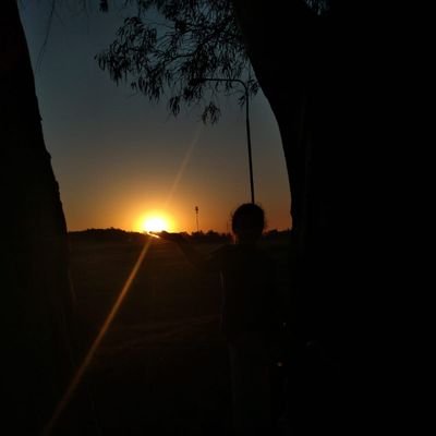 Administrador Agropecuario/ ventas productos Agropecuarios/ productor Agropecuario Argentino.
Defensor de las ideas Libertarias y de la vida con Libertad.