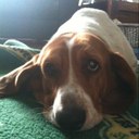 Lorraine McCready - @lorib256 - Twitter