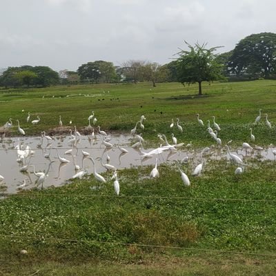 Vive la vida sin ataduras, libre como el viento fresco que cautiva el bello amanecer rodeado de las miradas de un ser inmortal llamado tiempo.