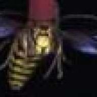 Hornet_Fez Profile Picture