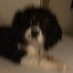 Birks (@biiirks) Twitter profile photo Birks (@biiirks) Twitter profile photo