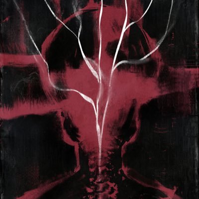 solidwhale's profile picture. 