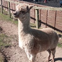 NorFolk Psychologist (@norfolkedpsych) Twitter profile photo