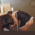 Mistress Raven and Master Andre's piggy cuck (@harrish48966499) Twitter profile photo Mistress Raven and Master Andre's piggy cuck (@harrish48966499) Twitter profile photo