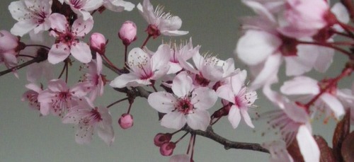 Nature inspired jewelry. Bisutería inspirada en la naturaleza.
http://t.co/ZBnBght8mL
http://t.co/tpkFF4Cu2Q