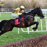 PickPostRace's profile picture. Put up my fancies for the racing now and again,mainly the big festivals 🐎