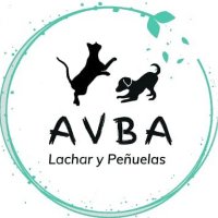 AVBA Animales(@AVBAanimales) 's Twitter Profile Photo