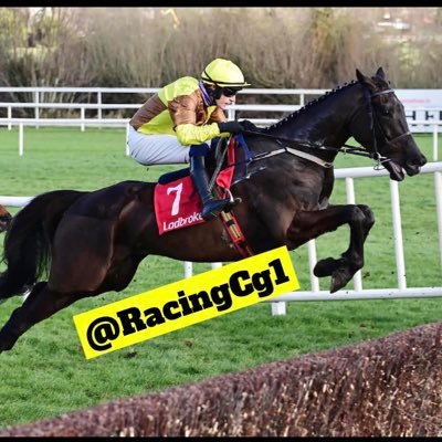 RacingCg1's profile picture. Mostly racing tips, also love a good card bet. In it for the winners 💰💰
