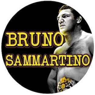At the peak of his career, Bruno Sammartino achieved unbelievable celebrity and recognition. Hear his inspiring story only in this documentary!