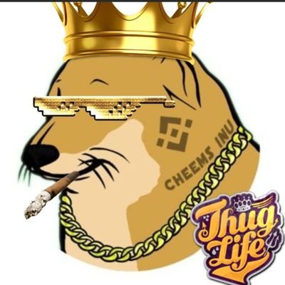 MemetechFH's profile picture. 