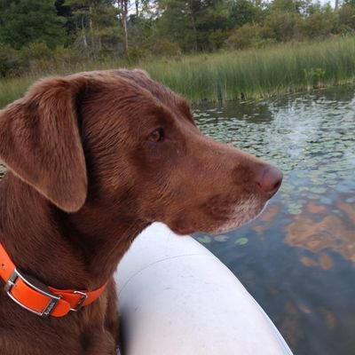 MillerTime211's profile picture. 