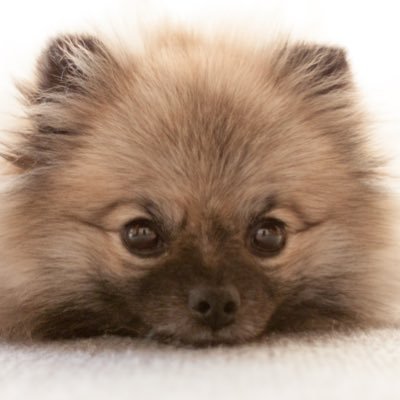 化学工学のPh.D → JTC化学メーカーの研究職 → ヘルステック企業の機械学習エンジニア → コンサルのデータサイエンティスト