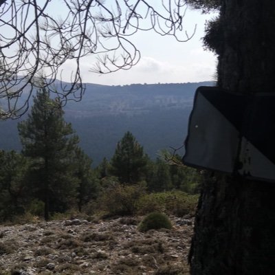 juanjifilgaira7's profile picture. 