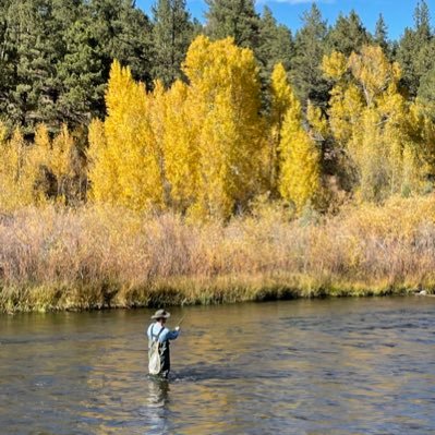 Author - Every Day is a Vacation. | Join my brainstorm - sharing ideas on finance, life, fitness, economics, freedom and DIY home projects. NYC to Colorado.