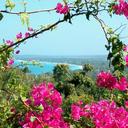 alan fitzgerald - @alanfitzgerald4 - Twitter