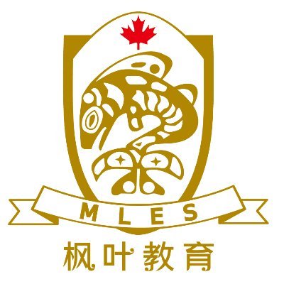 China's largest private international school system