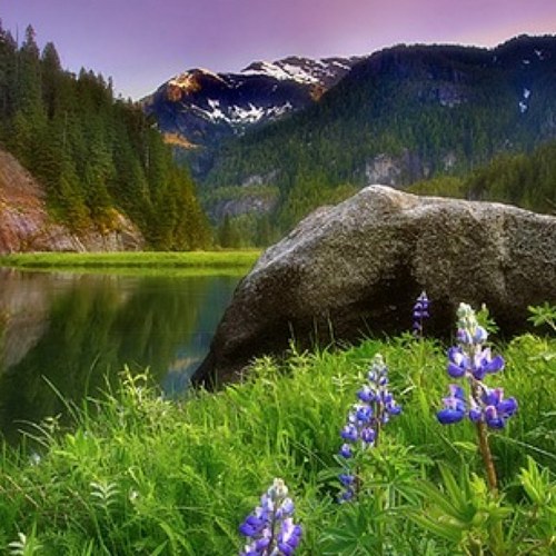 alghalyaa's profile picture. 