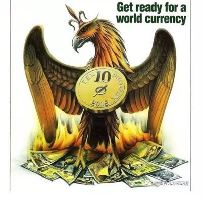 wangyc7023's profile picture. 有鹤彩一生足矣