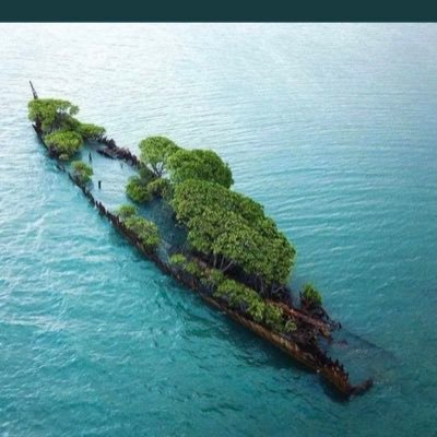 jackamac99's profile picture. riding the waves