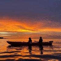 FTNNBLA (@ftnnbelle) 's Twitter Profile