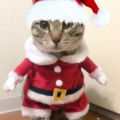 DaddyJappe's profile picture. 