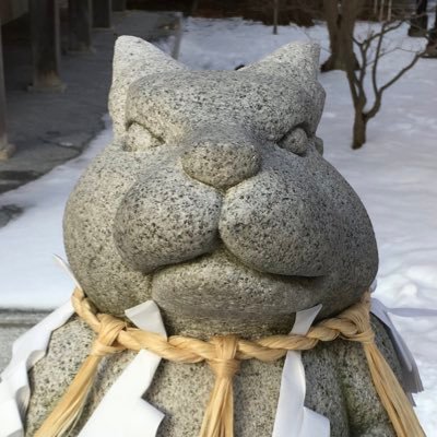 ayi91375897's profile picture. 🏒🐬横浜グリッツの超ライトなファンです。無言フォローすみません、フォロバ不要です。