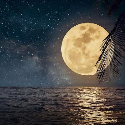 sharecare07's profile picture. Thinker