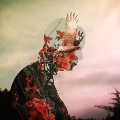 pcorona182's profile picture. Mexican, Electronic Engineer, Maker focused in IoT technology and Electronic expert, in trials