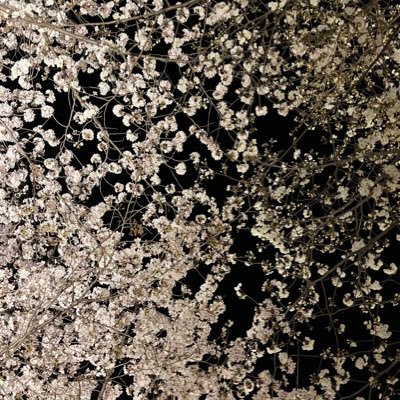 アラサー子持ち専業主婦投資家🔰/2022.04〜200万からのスタート/現物のみ/FX、仮想通貨はしてません/楽天経済圏/転勤族/政治経済/無言フォロー失礼します