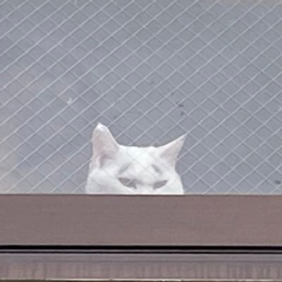 maching_a's profile picture. 婚活ではなく恋活。 バツイチ。いい年して恋愛体質。でも依存はしないよ。