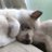 うつぶせのアイコン