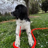 Yibo Fan (@yibofan16) 's Twitter Profile