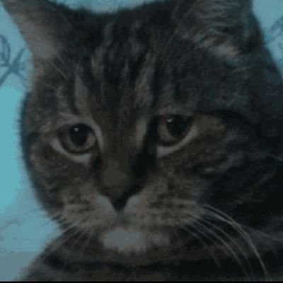 dl0337f's profile picture. One thing I learned if u can dew it, I can dew it