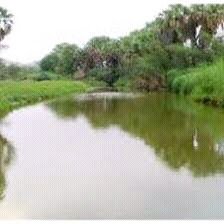 انا انسان بسيط