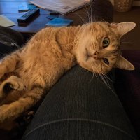 Juliette Kemp (@juliettekemp) 's Twitter Profile Photo