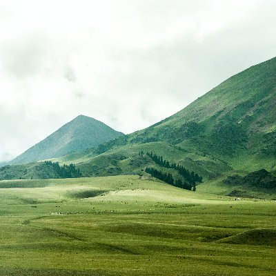 NkosilathiNyon9's profile picture. :)