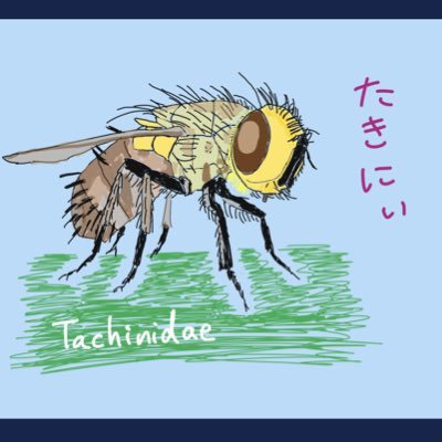 虫キョロリスさんのプロフィール画像