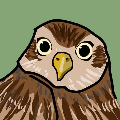 ミチャーフクロウ好きさんのプロフィール画像