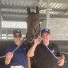 CamptonRacing's profile picture. camptonracing@gmail.com