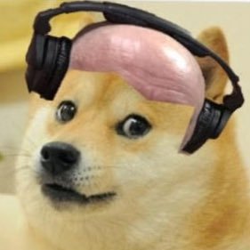 drmemenft's profile picture. Funny store about NFTs world 😁