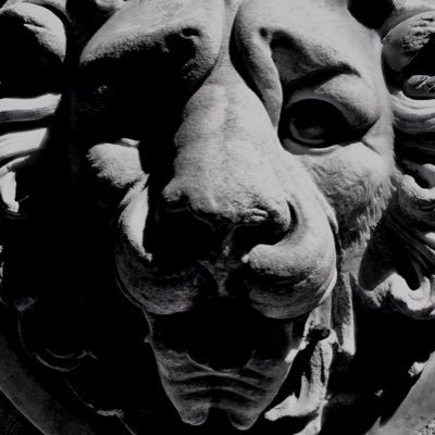 AlexxRabbit's profile picture. Individual in a hole