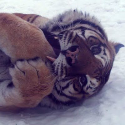 TomKim46448172's profile picture. 週３海外向けwebマーケとして広告代理店勤務&自営で中小企業へインハウスのWebマーケティングをお手伝いしています。