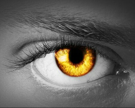 Citywide_PI's profile picture. David Oldaker is a Surveillance Specialist, a Licenced & Accredited Trainer to the security & investigations industry. Citywide Investigations Melbourne