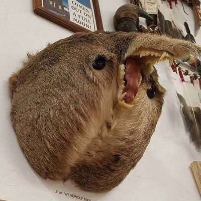UtahWearwolf's profile picture. Utah Wearwolf