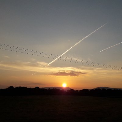 AnarchEcoCo's profile picture. Navigating collapse and the everyday

#collapse
#overshoot
#talkcollapse