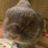 いちき (@goto_sandai) 's Twitter Profile