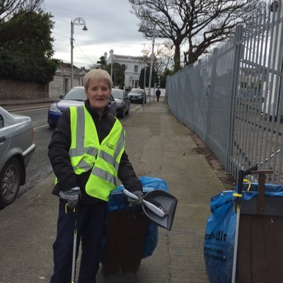 Our dedicated volunteers have been cleaning up Blackrock since our Tidy Towns group started in 2007. New helpers welcome. Call 086 8186704 for more information